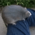 Size: 480x480 | Tagged: safe, audio, cbat, irl photo, music, rat, sitting, thefatrat