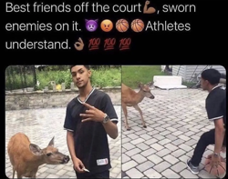 Size: 1080x849 | Tagged: safe, basketball, best friends, caption, competition, deer, emoji, irl photo, twitter screencap