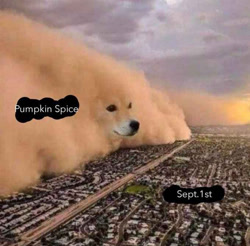 Size: 680x669 | Tagged: safe, city image, doge, dust storm, edit, fall meme, pumpkin spice, sept 1st